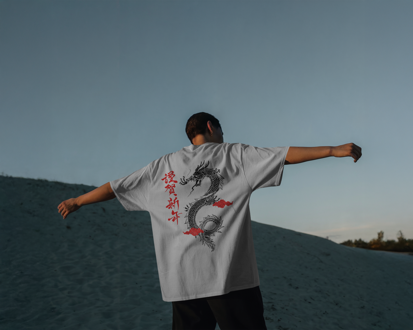 Dragon Soul T-Shirt