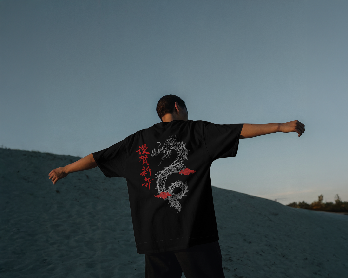 Dragon Soul T-Shirt